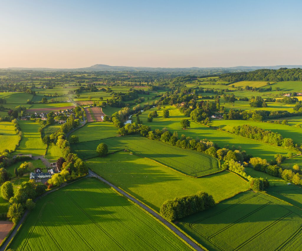 Aerial view of green agricultural landscape